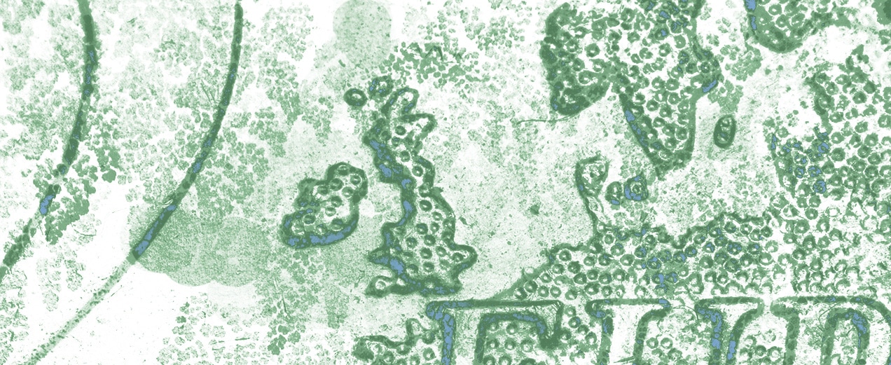 Government pushes ahead with plans to make UK ‘green financial capital of the worldʼ